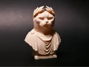 Catius-Maximus