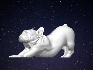 The Downward French Bulldog