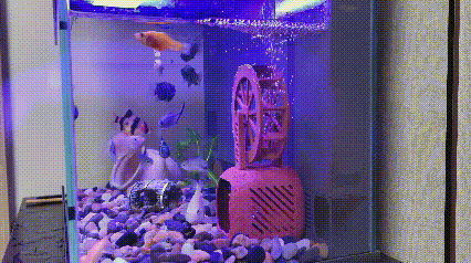 无动力水车，鱼缸躲避屋