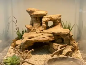Canyon Rock