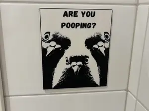 Are you pooping