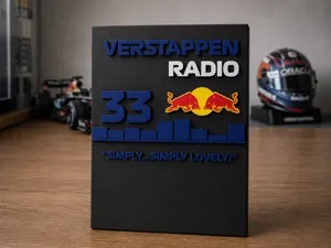 TEAM RADIO VERSTAPPEN 05 (2017 HISTORY)