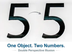 Number 55 Optical Illusion (10-99 available)