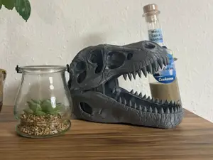 Dinosaurier Skelett Kopf