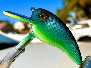 Crankbait Lure for Bass, Fishing, Trout, Jigging