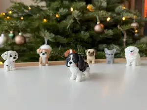 Cavalier King Charles Spaniel