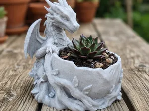 Dragon Succulent Planter