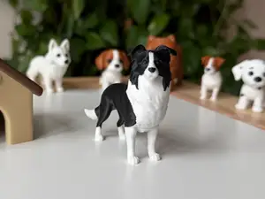 Border Collie