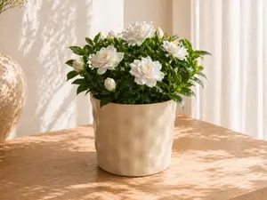Modern Minimal Planter/Flower Pot