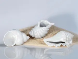Sea Shells Sculpture/Figurine (Set)