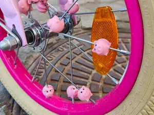 Bike wheel spoke piggies