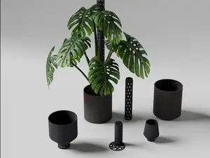 Minimalis Moss Pole 40mm Self watering planter set