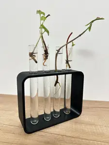 Test Tube Holder for plant propagation by cutting