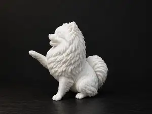 Command: Give me a paw - Pomeranian - Dog - Spitz