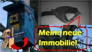 Teile für Nistkasten mit Kamera