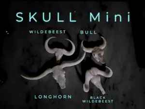 Skull Minis - Longhorn-Wildebeest-Buffalo-Bull