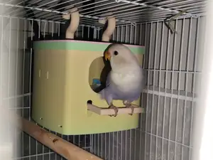 鸟屋