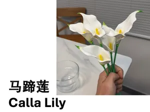 【拟真花卉-马蹄莲】(分件分色/少支撑设计/适配手涂)