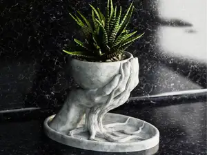 Roots Flower Pot