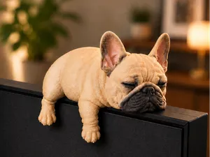 French Bulldog Monitor Pet