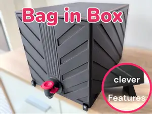 Bag in Box 5l- Container with features