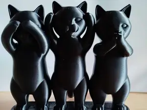 Three Wise Cats