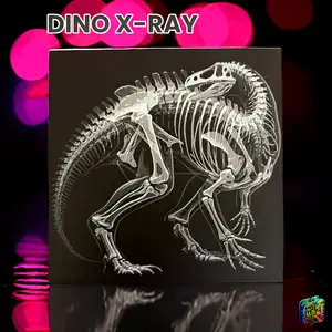 Dino X-Ray