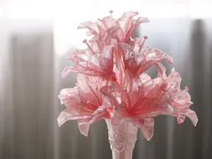 水晶百合
