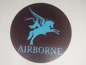 PARA REG PEGASUS AIRBORNE COASTER