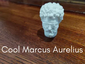 Cool Marcus Aurelius Bust