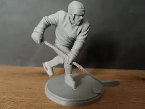 SPORTS- Ice hockey