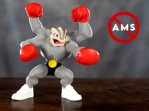 Pokemon Boxing Machamp