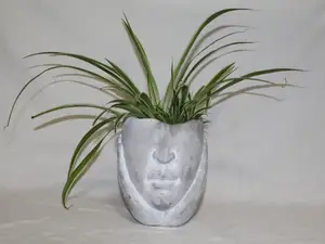 flower pot head in hands