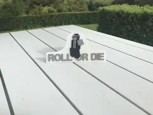 Forsaken chance roll or die ornament