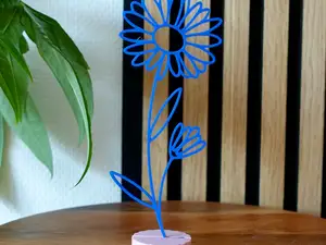 Geboortebloem voor September - Aster