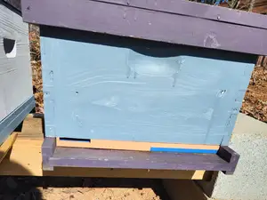 Beehive Entrance Reducer