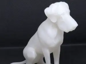 Great Dane dog