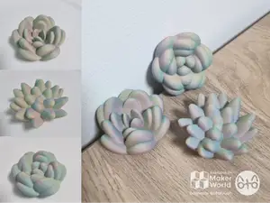 Cute Succulents Pack