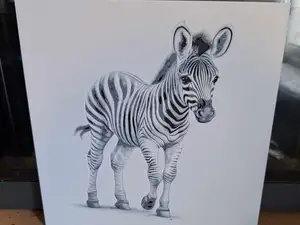 Black and white - Zebra cub - 2 colours - hueforge