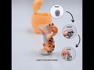 Animal - Egg - Gecko