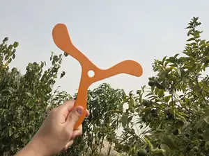 kids returning boomerang!
