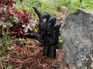 The witch's hand