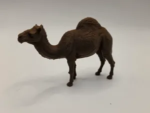 Realistic Dromedary Camel – Tiere aus aller Welt