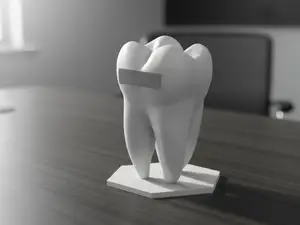 Anatomic Tooth Card Holder