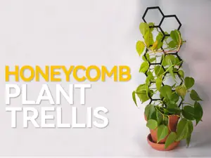 Hexagonal Plant Trellis (Honeycomb)
