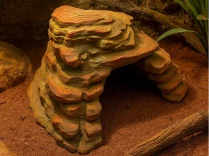 Rocky Shelter