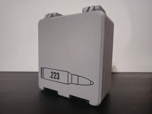 223/556 Ammo Box - 100 Rounds
