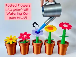 Potted Flowers with Watering Can