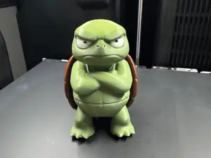 Grumpy Turtle