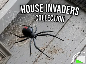 House Invaders - Black Widow Spider